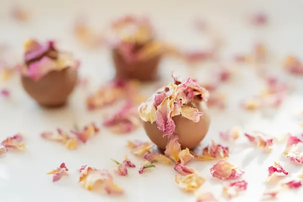 Kazino Bella Vegas Android/iOS programa